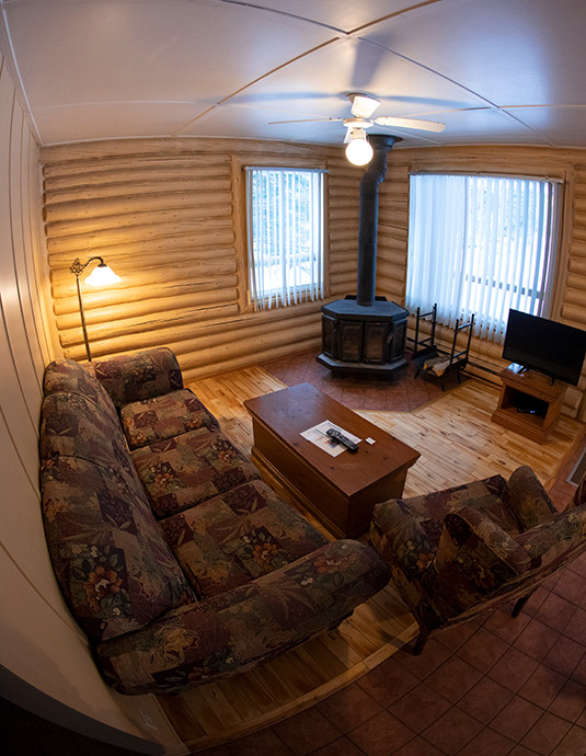 chalet_31_salon
