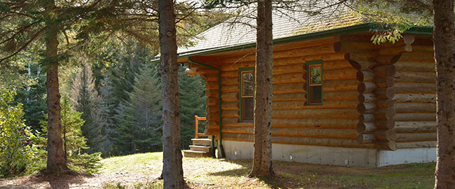 niv2_chalets_scandi_ete
